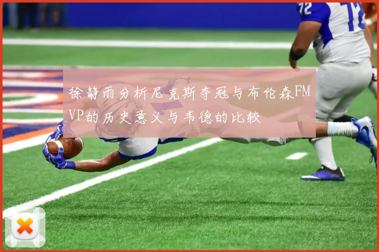 徐静雨分析尼克斯夺冠与布伦森FMVP的历史意义与韦德的比较