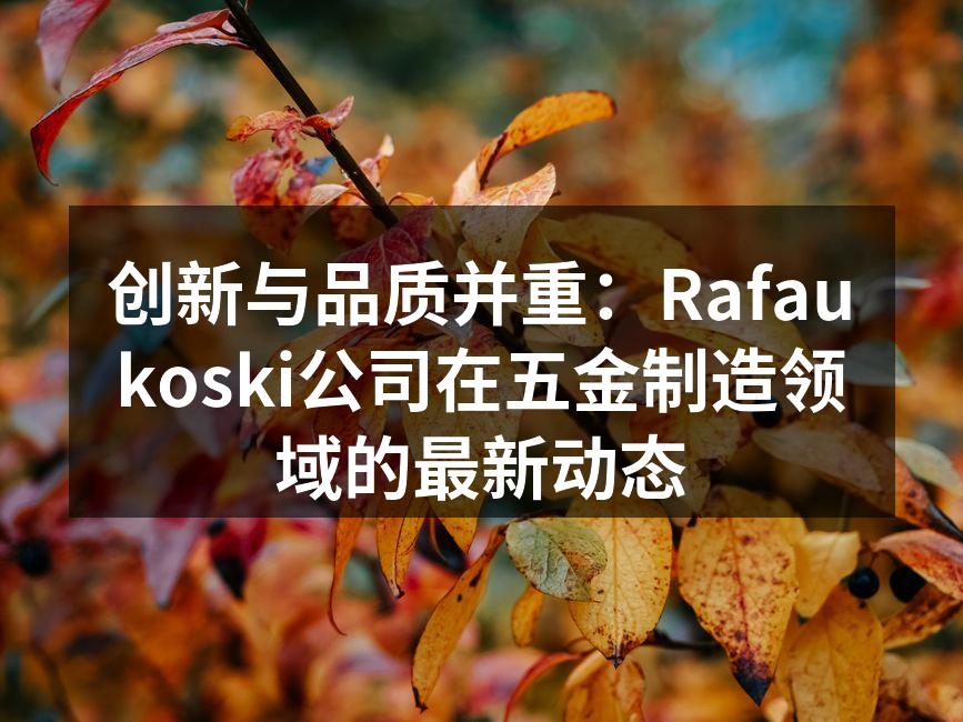 Rafaukoski公司新一代自动化生产线